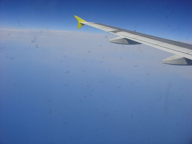 so high in the air....