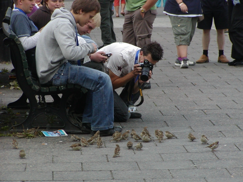 Jovada photographing some sparrows on Alexanderplatz.