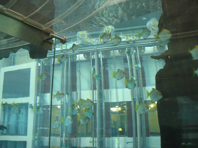 There was a one million liter aquarium inside a hotel
