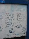 information about the mill of Katwoude
