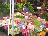 Flower market