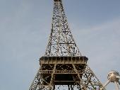Big birds in Paris