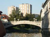 The dragon bridge
