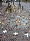 Belgie vanuit Nederland / Belgium from the Netherlands