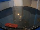 Drop a metal ball into this and it keeps rolling and rolling and rolling.. kept us fascinated for a long time ;)