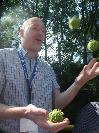 Haemoglobin juggling chestnuts