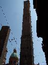 Asinelli tower (tiny donkeys tower!)