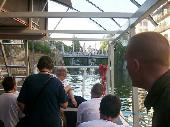 friday boat trip (3)