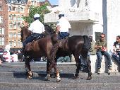 Amsterdam Police