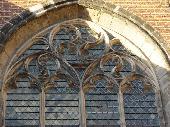 fishbladder gothis windows