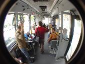 the famous free hasselt busses