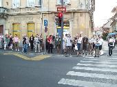 dutiful waiting at the red crosslight