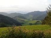 The beautifull landscape of the Schwarzwald in southern Germany.