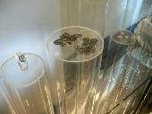  money museum, the developement of the money