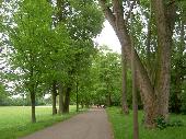 Everything was already fully green in Germany unlike in Finland