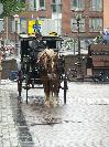 Nice old coach