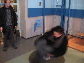 Yippo seuraa vierest� kun JackTheRipper nauttii vauhdin hurmasta