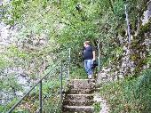 Wisi taking the stairs