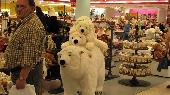 The Ice Bear 